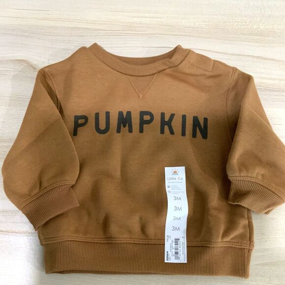 NWT!! Pumpkin Lightweight Sweatshirt Orange/Brown 3Month Old - Picture 1 of 6